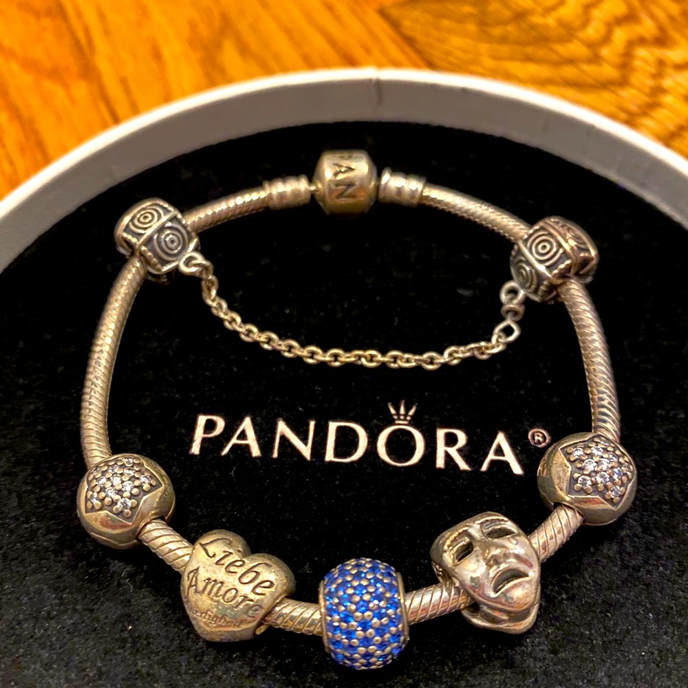 Pandora Charm Bracelet